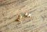 Apple Core Studs